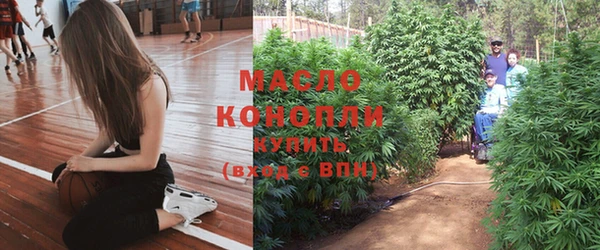 кокс Дмитриев