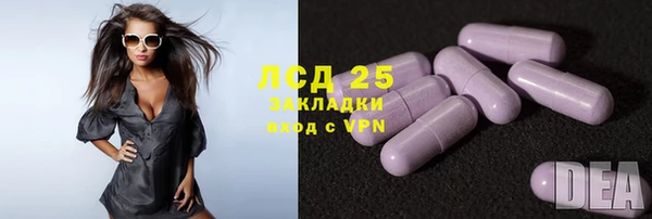 кокс Дмитриев