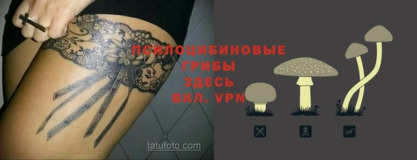 меф Дмитров