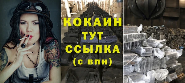 кокс Дмитриев