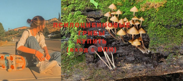 герыч Мегион