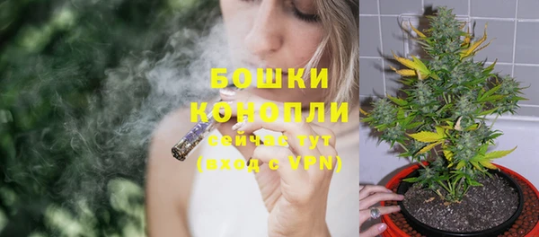 кокс Дмитриев