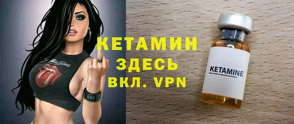 кокс Дмитриев