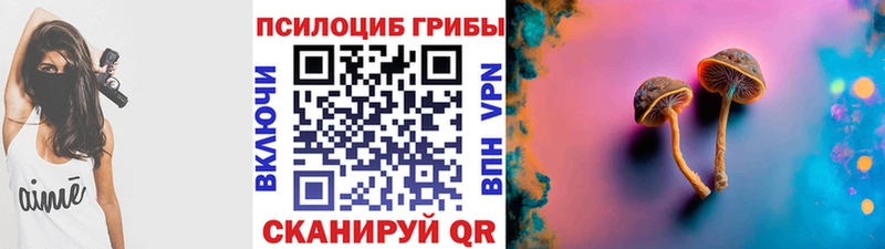 Галлюциногенные грибы мухоморы  ссылка на мегу зеркало  Ермолино 